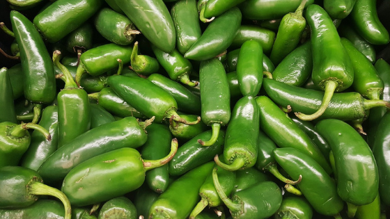 Jalapeno Peppers