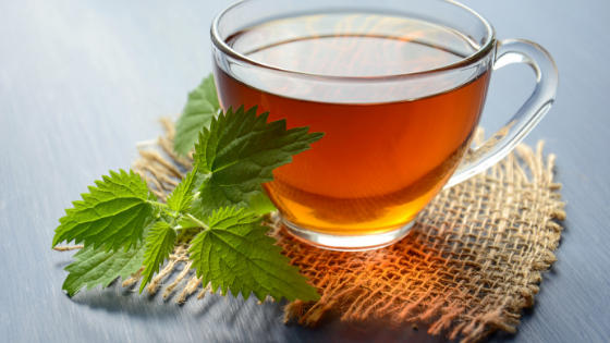 Nettle Tea