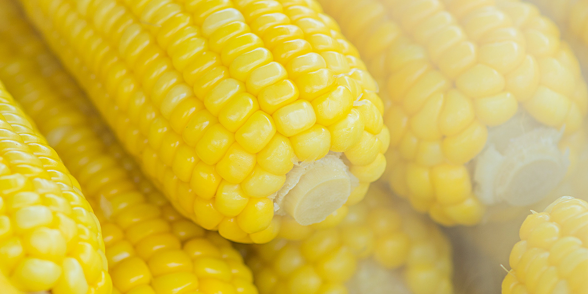 is corn good or bad for digestion