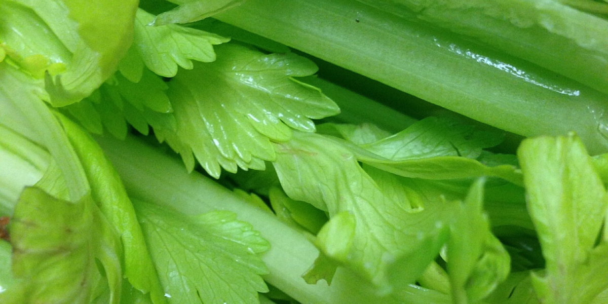 Celery Juice for Constipation 3