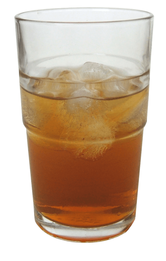 Mold Growth in Kombucha