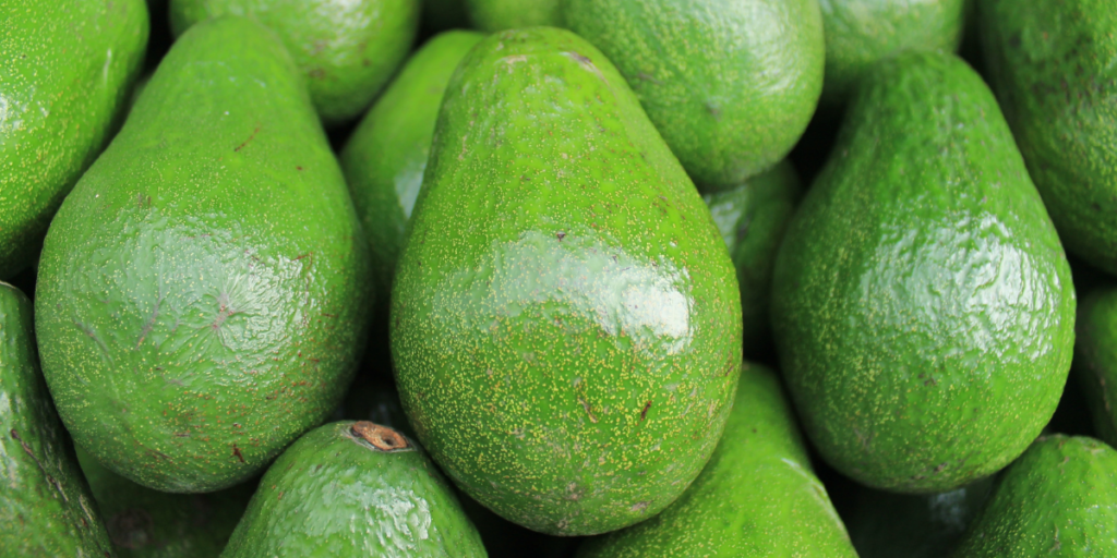 Is Avocado Good For Fatty Liver? 5 Reasons Why It Is! Gut Advisor