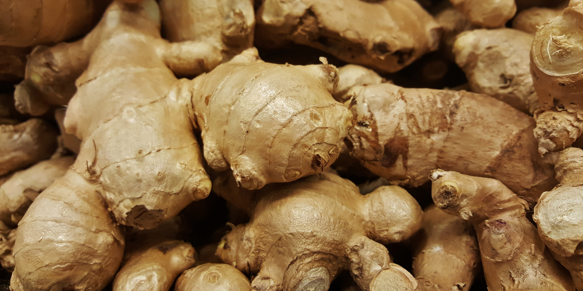 is-ginger-good-for-fatty-liver-5-reasons-why-it-is-gut-advisor