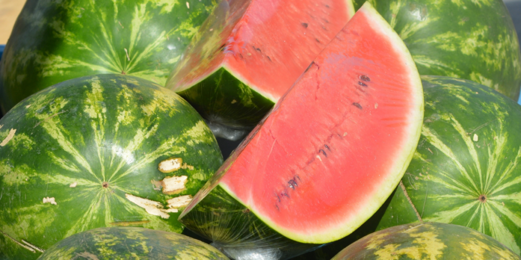 Is Watermelon Good For Fatty Liver? 5 Reasons Why It is! Gut Advisor