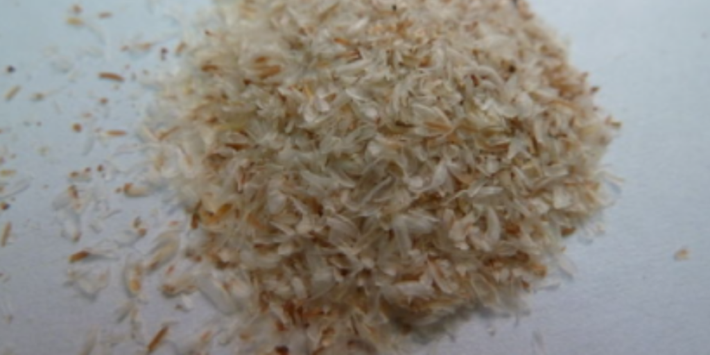 Is Psyllium A Probiotic? No, It's Not, And Here's Why! Gut Advisor