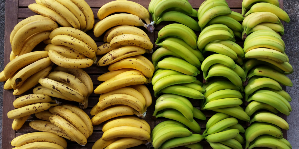 Can Bananas Cause Diarrhea? 3 Reasons Why They Can! Gut Advisor