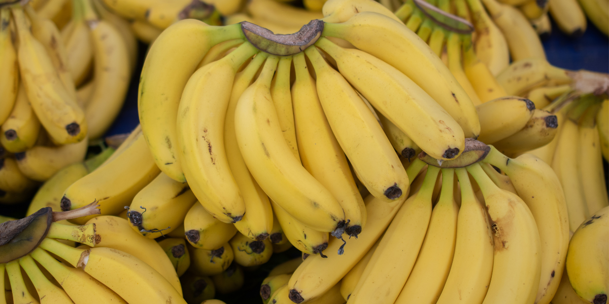 Can Bananas Cause Diarrhea 3 Reasons Why They Can Gut Advisor