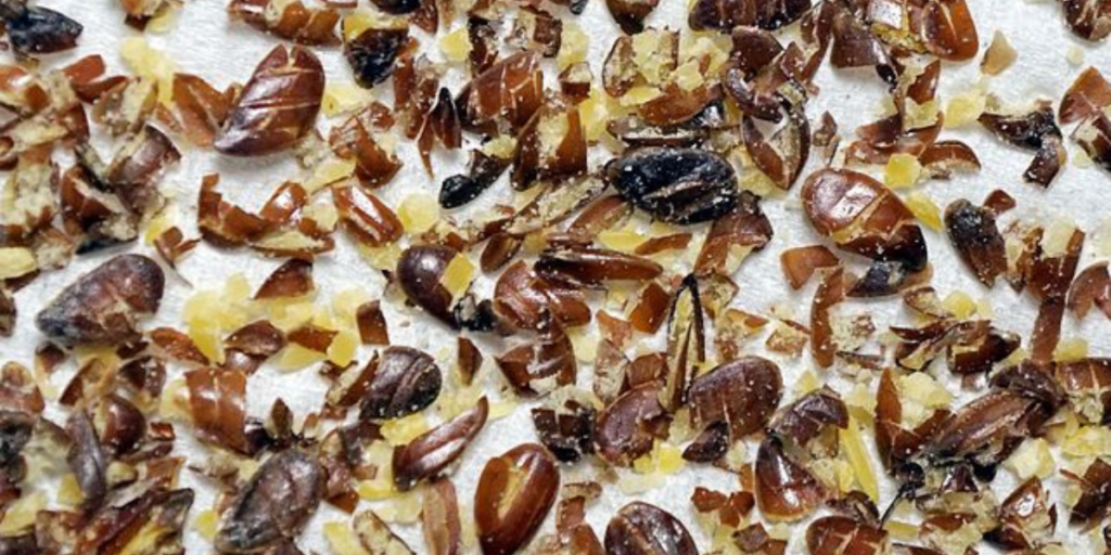 Symptoms Of Flaxseed Intolerance What To Know Gut Advisor