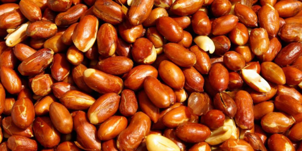 Are Peanuts Hard To Digest? 6 Reasons Why They Are! Gut Advisor