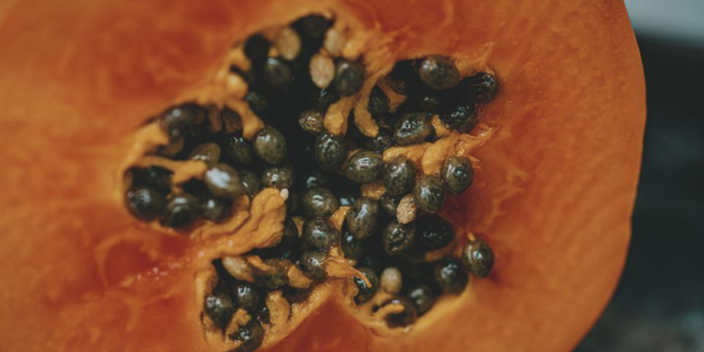 Papaya Seeds For Constipation 5 Reasons Why They Work! Gut Advisor