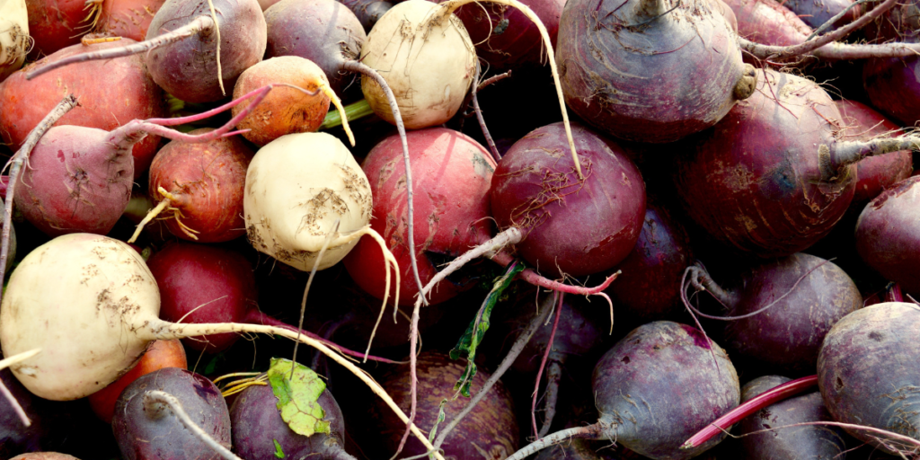 do-beets-cause-diarrhea-4-reasons-why-they-can-gut-advisor