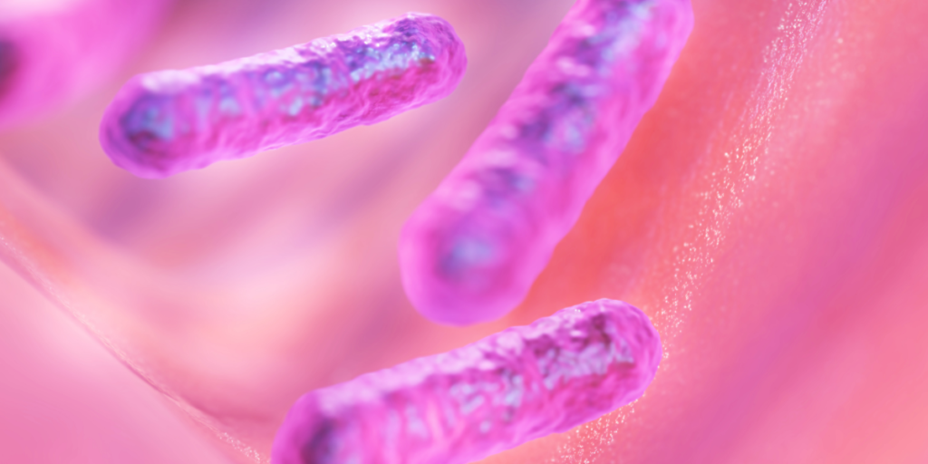 Does Stevia Cause Gas? 2 Reasons Why It Does! Gut Advisor