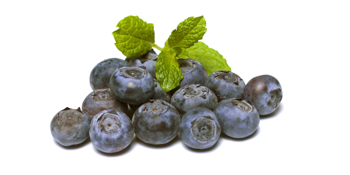 Blueberries And Green Poop The Connection Gut Advisor