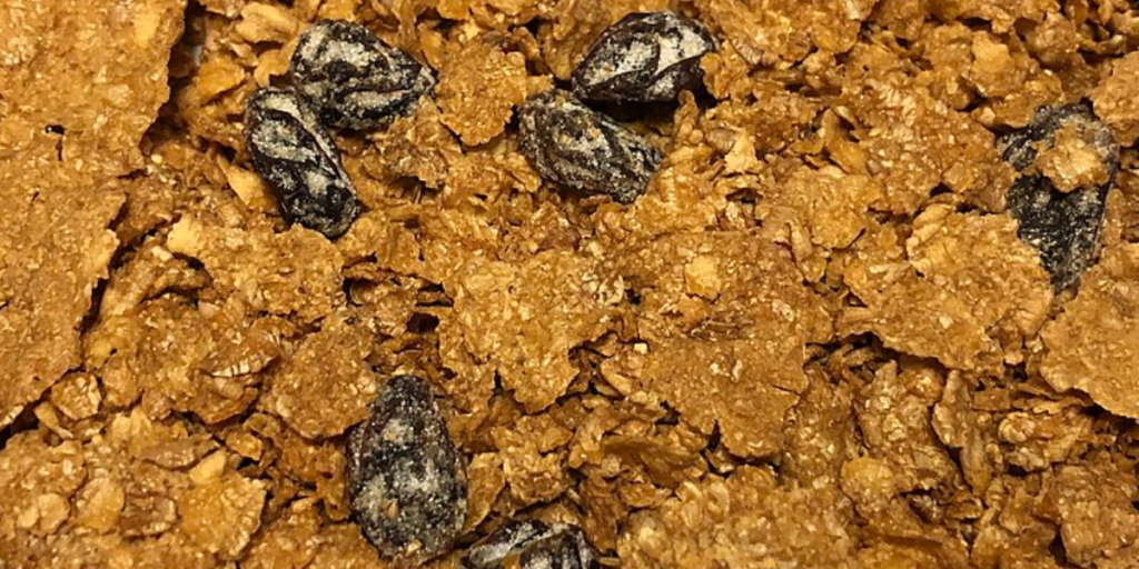 Gut Advisor Your guide to a healthy gut